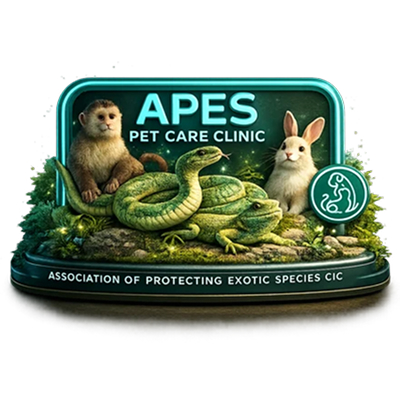 Apes Pet Care Clinic