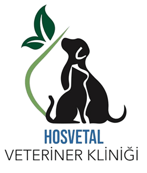 Hosvetal Veteriner Kliniği