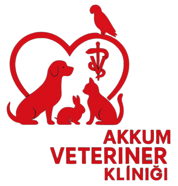Karasu Akkum Veteriner Kliniği