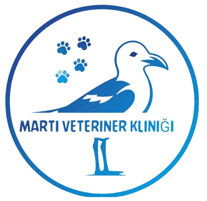 Martı Veteriner Kliniği