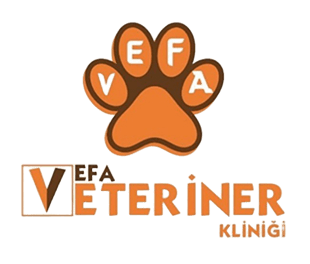 Vefa Veteriner Kliniği