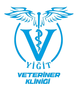 Yiğit Veteriner Kliniği