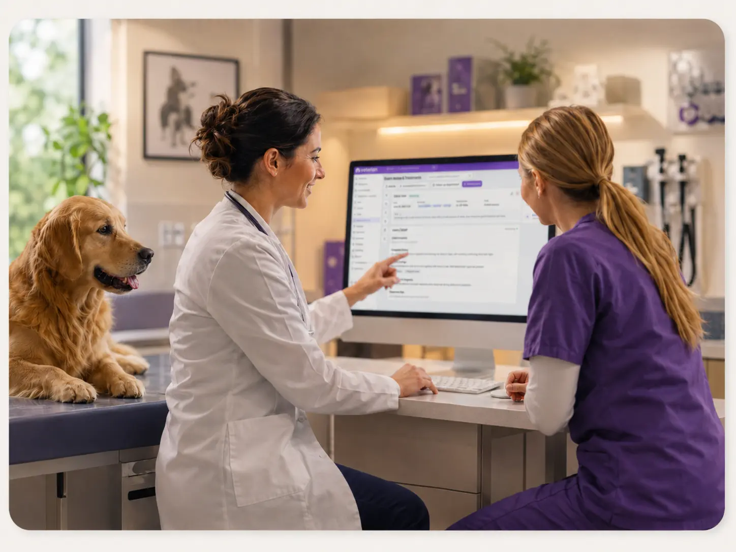 Continuous medical record and treatment history screen for the team
